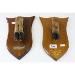 Two Taxidermy Trophy Deer Hooves mounted on separate wooden shield plaques, 31cms high