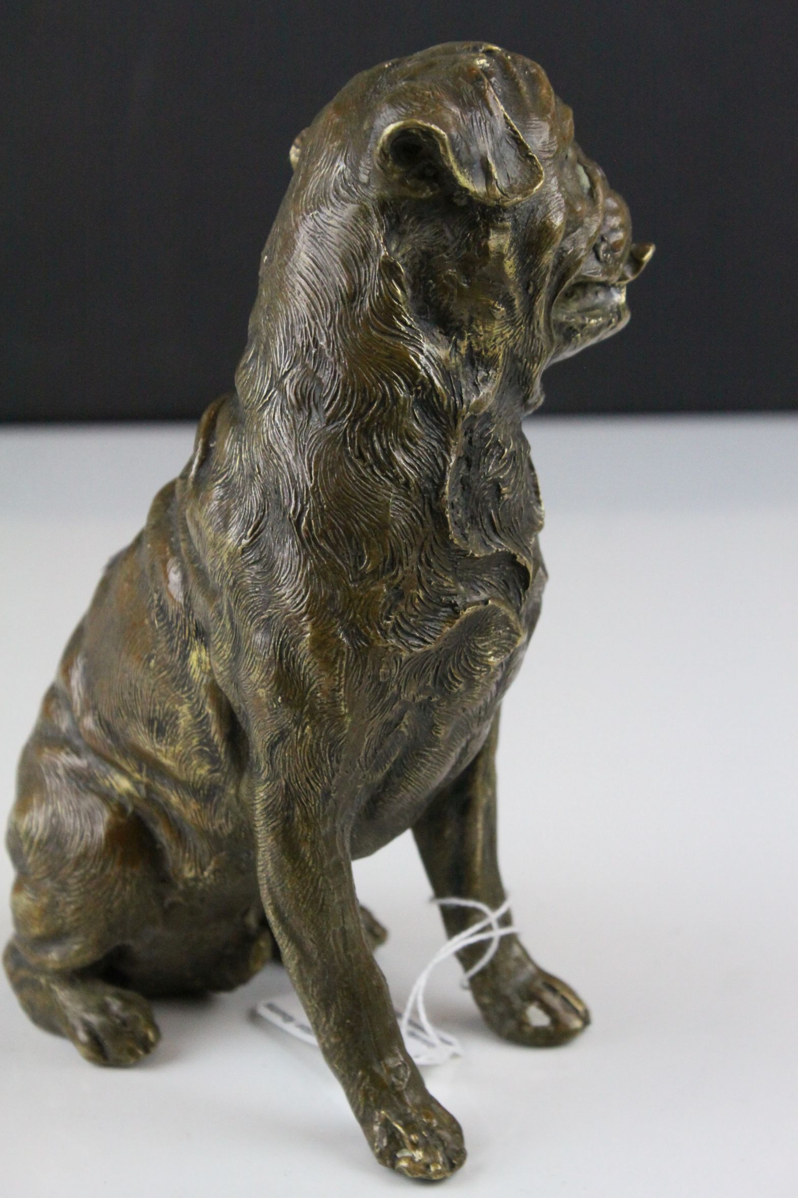 A bronze seated Mastiff dog figure 18 cm tall. - Image 3 of 5