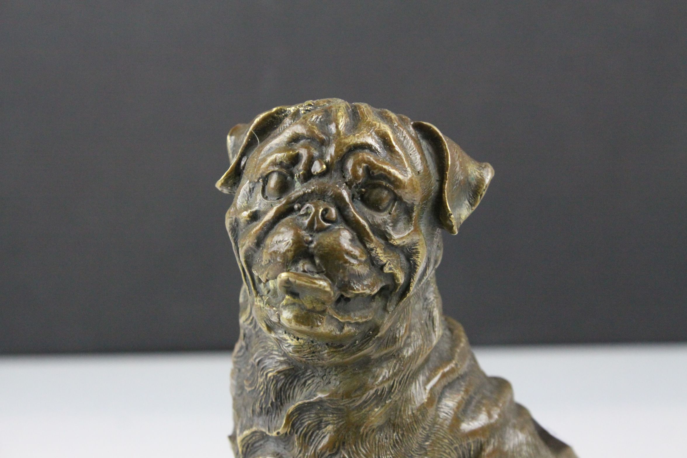 A bronze seated Mastiff dog figure 18 cm tall. - Image 2 of 5