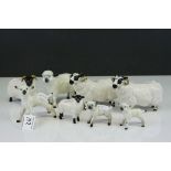 Collection of Eight Beswick Sheep including Two Black-faced Rams, model no. 3071 (one a/f), Black