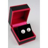 Pair of Large Freshwater Pearl Stud Earrings on Silver posts