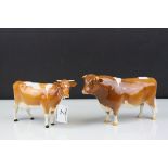 Beswick Guernsey Bull ' Ch. Sabrina's Sir Richmond 14th ' model no. 1451 together with a Beswick