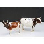 Beswick Ayrshire Bull ' Ch. Whitehill Mandate ' model no. 1454B together with a Beswick Ayrshire Cow