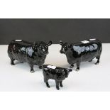 Beswick Aberdeen Angus Family including Bull model no. 1562, Cow model no. 1563 and Calf model no.
