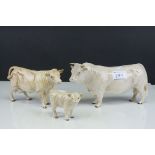 Beswick Charolais Cattle Family including Bull model no. 2463, Cow model no. 3075 and Calf model no.