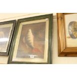 Framed Oil Painting Study of a Carp Fish