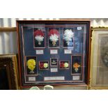 Framed, Glazed and Mounted Montage of Five ' The Fusiliers ' Badges with Feathers plus a Cap Badge