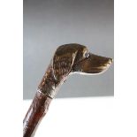 Late 19th / Early 20th century Walking Stick, the wooden handle carved in the form of a Dog