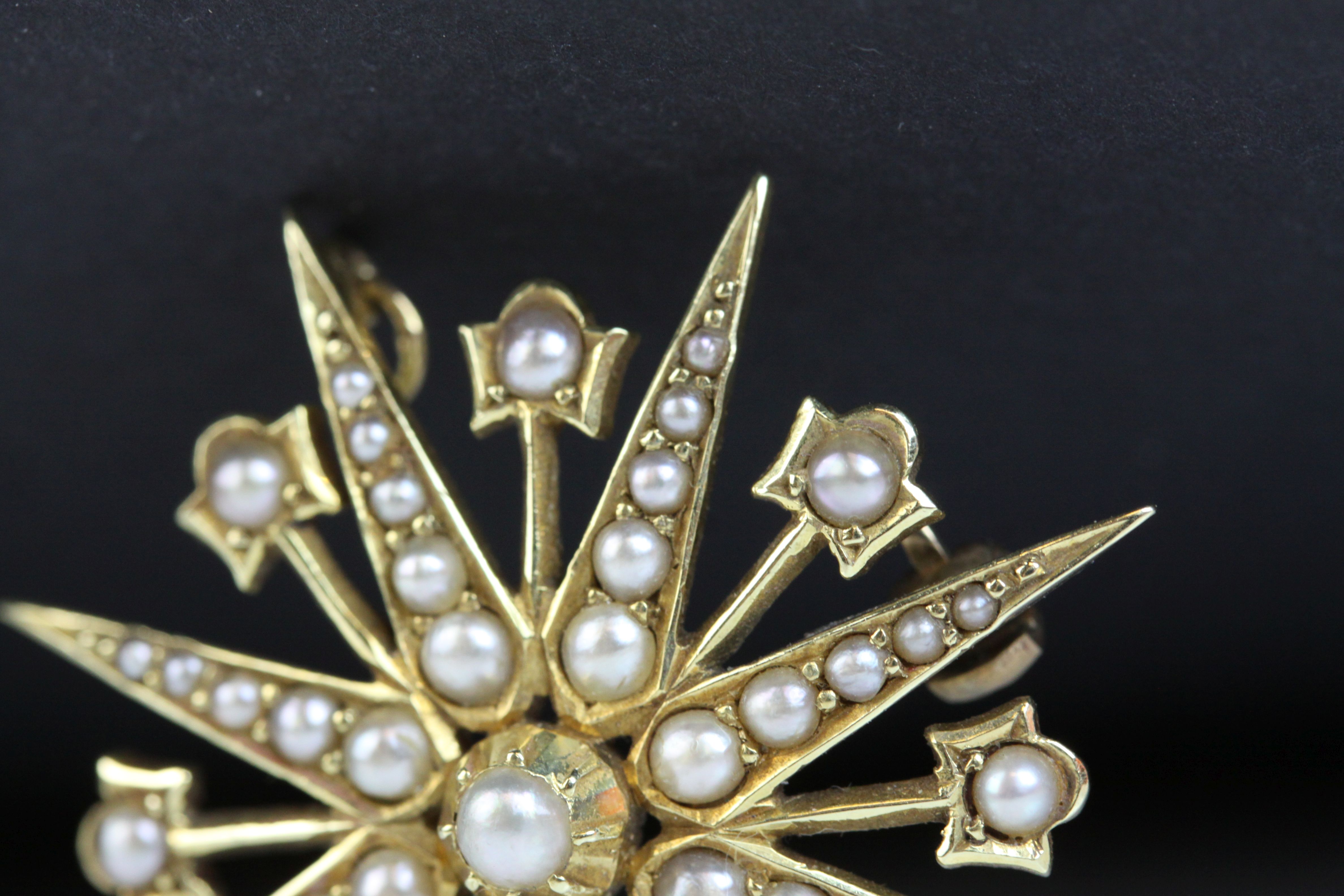 Edwardian seed pearl 15ct yellow gold pendant brooch, eight pronged star full set with graduated - Image 3 of 6
