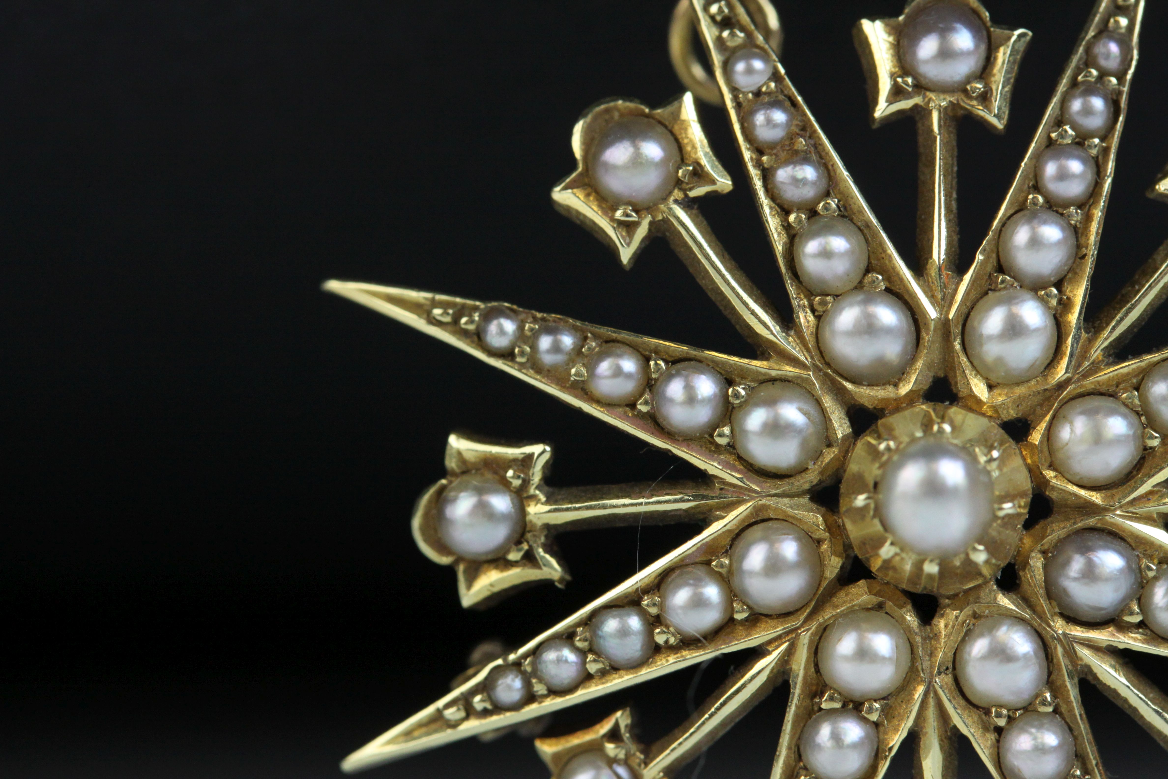 Edwardian seed pearl 15ct yellow gold pendant brooch, eight pronged star full set with graduated - Image 4 of 6