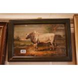 Framed Oil Painting Bovine Study of a Bull in a Country Landscape