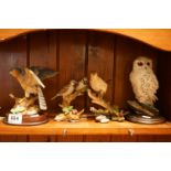 A Country Artists Snowy Owl Figure, a similar Song Thrush and two other bird figures.