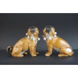 Pair of 19th century Meissen Style Porcelain Seated Pugs with bell collars, 13cms high (one with