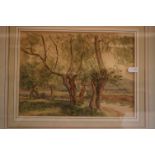 Cecil Westland Pilcher (1870 - 1943 - Watercolour Willow Trees by a river, 20cms x 27.7cms
