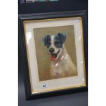 Oil Painting Portrait Study of a Jack Russell Terrier
