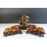 Pair of Chinese / South East Asian Hardwood Carved Models of Recumbent Cows / Ox / Water Buffalo