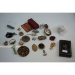 Selection of Antique and Later Jewellery including Victorian Brooches, Brooches in the form of