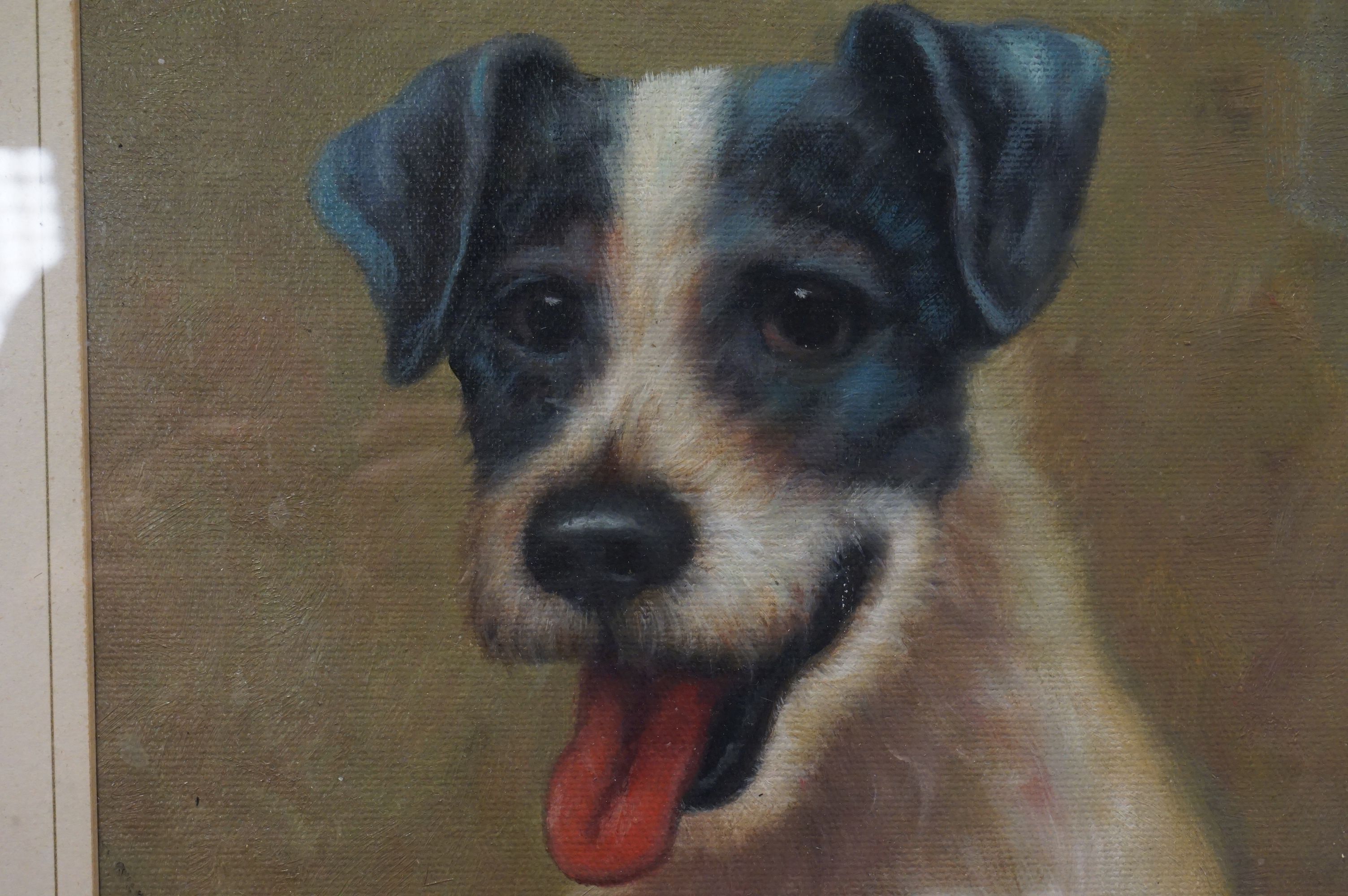 Oil Painting Portrait Study of a Jack Russell Terrier - Bild 2 aus 2