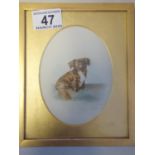 Miniature framed watercolour on photograph? of a Pekinese signed bottom right Russell & Jones, 5"
