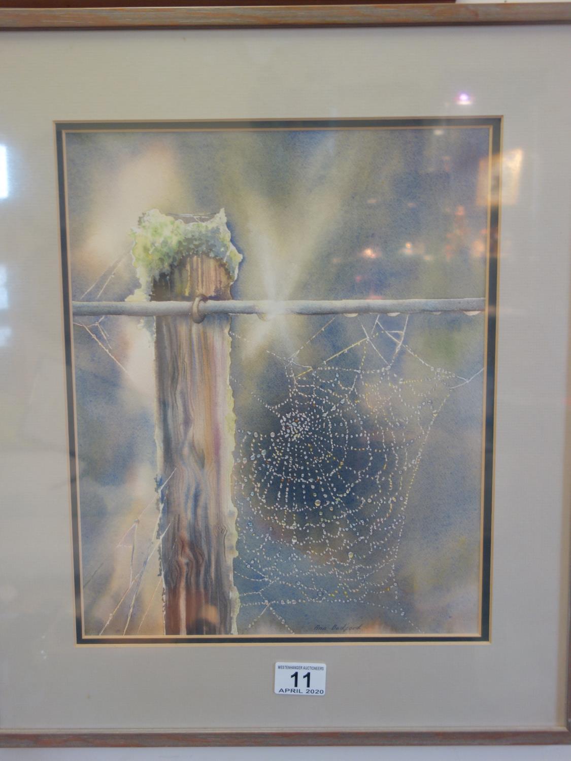 F/g watercolour by Ann Bedford, spider Webb watercolour entitled Morning View,