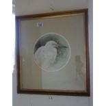 Framed watercolour, Michael B Sawdy, 9" dia head and shoulders of a Egret, with original purchase