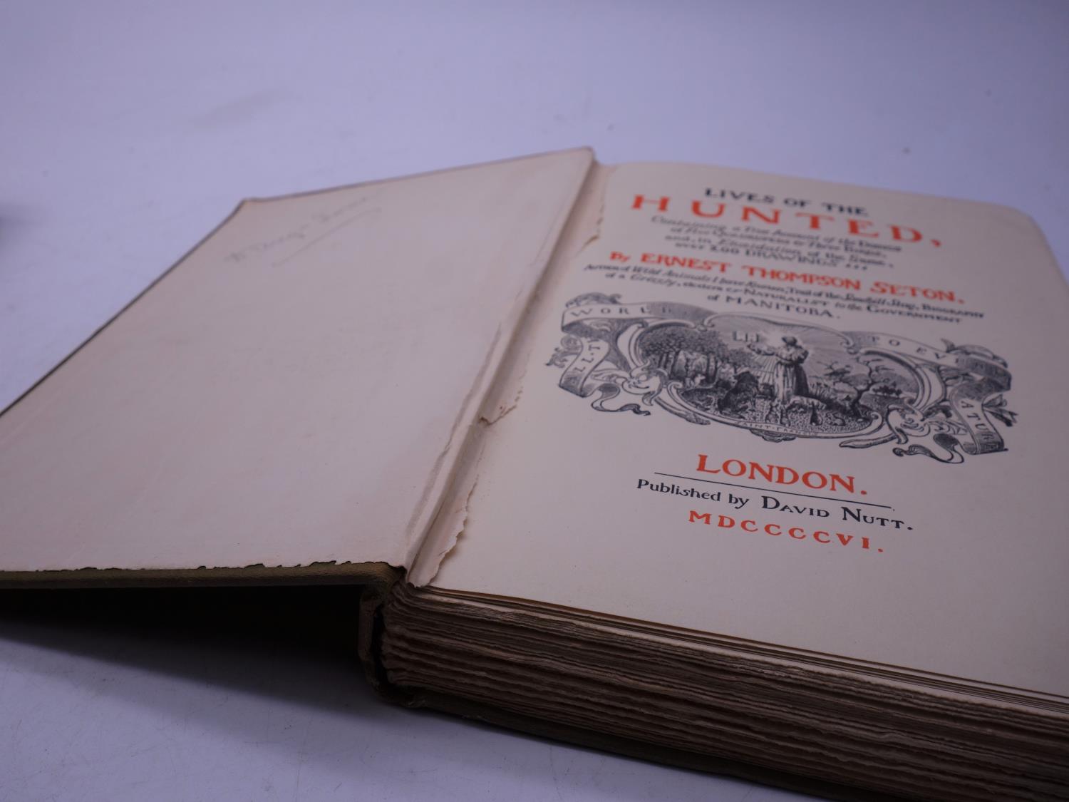 Ernest Thompson Seton, a First Edition.Wild Animals I have Known, published London 1900 - Image 9 of 9