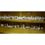 80 pieces of Goss or crested ware various shapes and designs