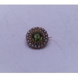 Victorian period Peridot and Seed Pearl miniature Sunburst Brooch on 9ct gold shank, single carat