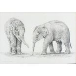 Anthony WYATT (British b. 1958) Po Chin & Assam - Asian elephants, Pencil, Signed, titled and