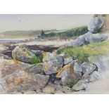 Sue LEWINGTON (British b. 1956) Grassy Foreshore with Boulders, Watercolour, Signed lower right,