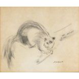 Ronald Vivian PITCHFORTH (British 1895-1982) Squirrel on a Branch, Charcoal on paper, Signed lower
