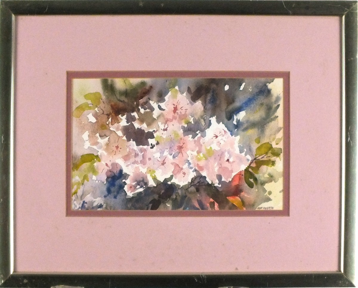 Don AUSTEN (British 20th Century) Pink Flowers, Watercolour, Signed lower left, artists details to - Image 2 of 3