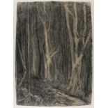 Amy JONES (British 20th Century) Constantine Woods, Charcoal on handmade paper, Signed lower