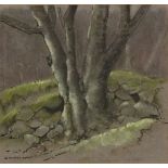 Richard SLATER (British b. 1927) Beech Tree at Shaugh Bridge - Nr Plymouth, Watercolour, Titled