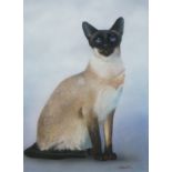 Alan WESTON (British b. 1951) Siamese Cat, Gouache, Signed lower right, 27cm x 19cm (10.5" x 7.5")