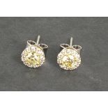 A pair of 18ct white gold fancy yellow diamond halo stud earrings, central fancy yellow natural