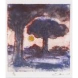 Ian LAURIE (British b. 1933) Trelissick Tree, Etching, Signed lower right, numbered 11/25, titled