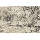 Marmaduke A LANGDALE (British 1840-1905) Pensive Girl Under a Tree, Pen and ink, Signed and dated '