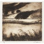 Ian LAURIE (British b. 1933) Loe Pool Silence, Etching, Signed lower right, numbered 14/25, signed