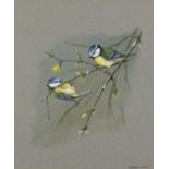 Anthony J SMITH (British b. 1960) Blue Tits on a Branch, Gouache, Signed lower right, 10.75" x 8.75"