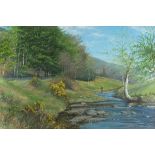 Hubert J SQUIRES (British 20th Century) Exmoor River, Acrylic on canvas, Signed lower right, signed,