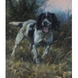 John TRICKETT (British b. 1950) Springer Spaniel in a Wooded Landscape, Oil on canvas, Signed