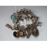 A heavy silver charm bracelet with 20 plus charms 83gms