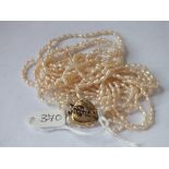 Five strand pearl necklace with 9ct sapphire set clasp