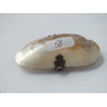 Unusual shell shaped purse 3.5" long