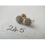 Pair diamond cluster earrings