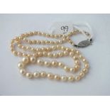Graduated pearl necklace with silver clasp