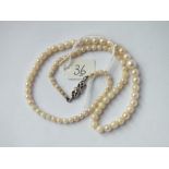 Row of fine cultured pearls with white gold and diamond clasp