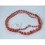 Row of graduated coral beads