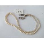 Row of pearls with paste clasp